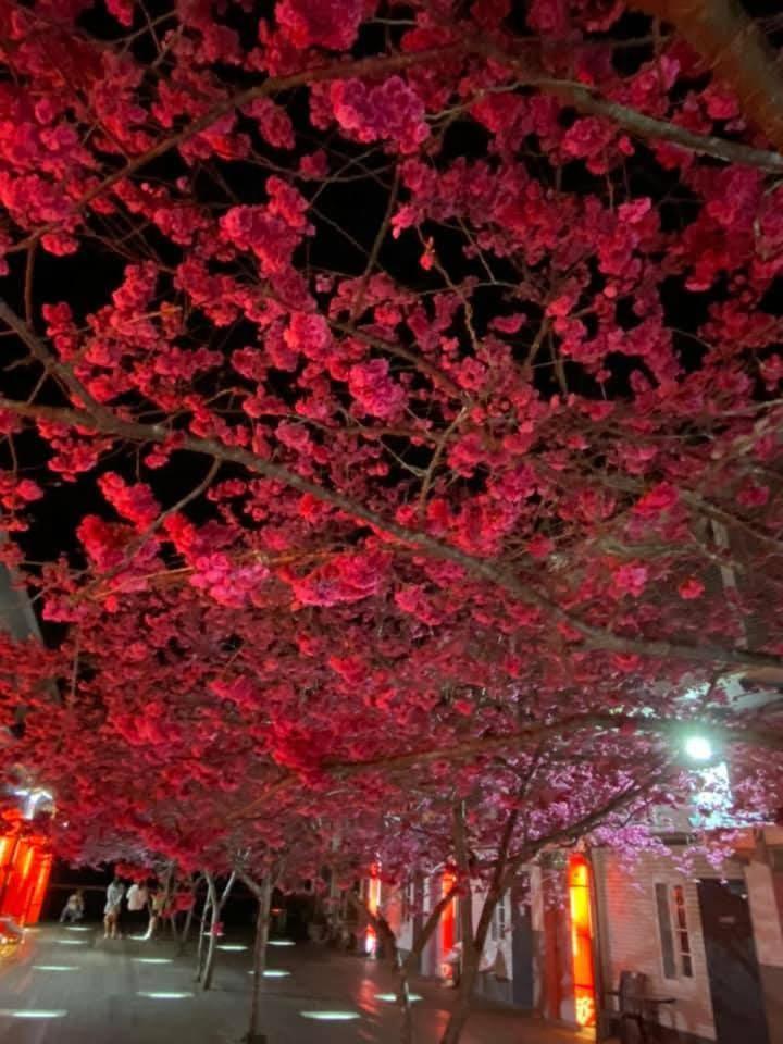Miaoli Sanyi Shantongyazhu Homestay Exterior foto